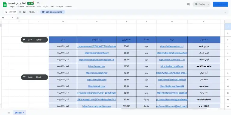 Saudi influencer list